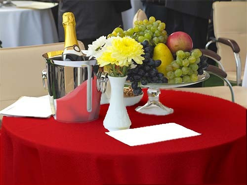 Spun Poly Fabric For Your Georgia Holiday Banquet