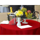 Spun Poly Fabric For Your Georgia Holiday Banquet