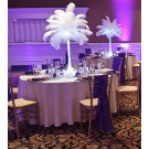 Color spun poly table linen rentals