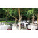 72 x 72 premier polyester tablecloths for patio outdoor event