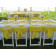 60 X 120 Spun Poly Tablecloth Miami, Fla.	