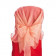 Organza Sash 