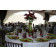 table linen rentals