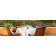 54 x 54 Premier Square Tablecloth Arrangement White Overlay