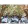 54 x 54 Premier Square Tablecloth Arrangement White 